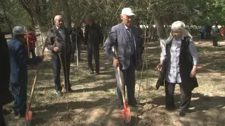 Қызылорда қаласында "Жасыл аймақ" акциясына ардагерлер де атсалысты