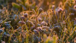 Мамырда ауа райы қандай болады? Синоптиктер болжамы