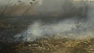 Синоптиктер Алматы мен тағы 11 облыс тұрғындарына ескерту жасады