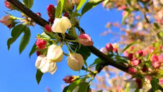 Синоптиктер мереке күндері алдында қазақстандықтарды қуантты