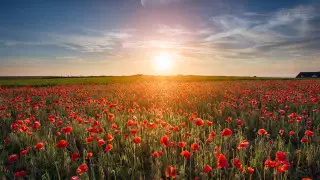 Қазақстанда маусымда қанша күн демаламыз - күнтізбе