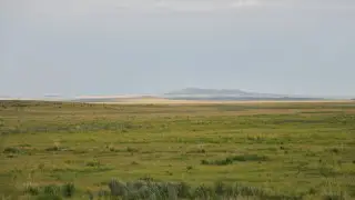 Жамбылда ірі инвесторға жер бермей қойған лауазымды тұлға жауапкершілікке тартылды