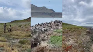 Туристерге Алакөл көліндегі үш аралға баруға тыйым салынды