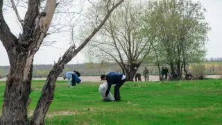 Бәрін әкімге жүктеп, қарап отыруға да болмайды - Тоқаев көше тазалығы туралы