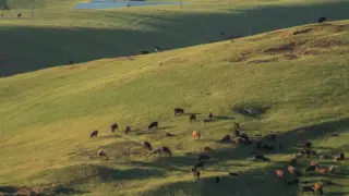 Жетісу облысында аудан әкімі жер заңнамасын бұзғаны үшін жазаланды