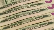 Доллардың ресми бағамы айтылды