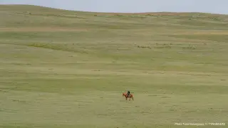 БҚО-да 45 миллион теңгенің жері мемлекетке қайтарылды