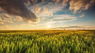 43 градус ыстық: 14 өңірде ауа райына байланысты ескерту жасалды