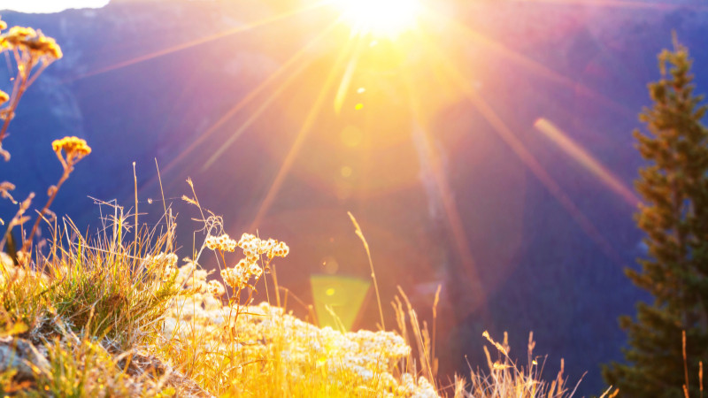 Фото:depositphotos.com