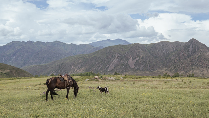 Фото ©️ Tengrinews.kz / Тұрар Қазанғапов