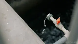 Қазақстанда жаңа комитет құрылды