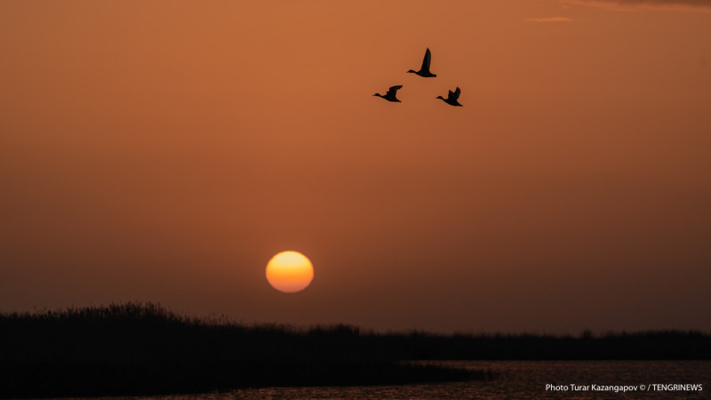 Фото ©️ Tengrinews.kz / Тұрар Қазанғапов