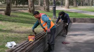 Алматыны көріктендірудің жаңа ережесіне саябақ жиһаздарын күтіп ұстау талаптары енгізілді