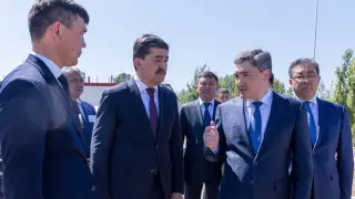 Премьер-министр Бектенов заңсыз ағаш кесушілерді "мемлекеттің жауы" деп атады