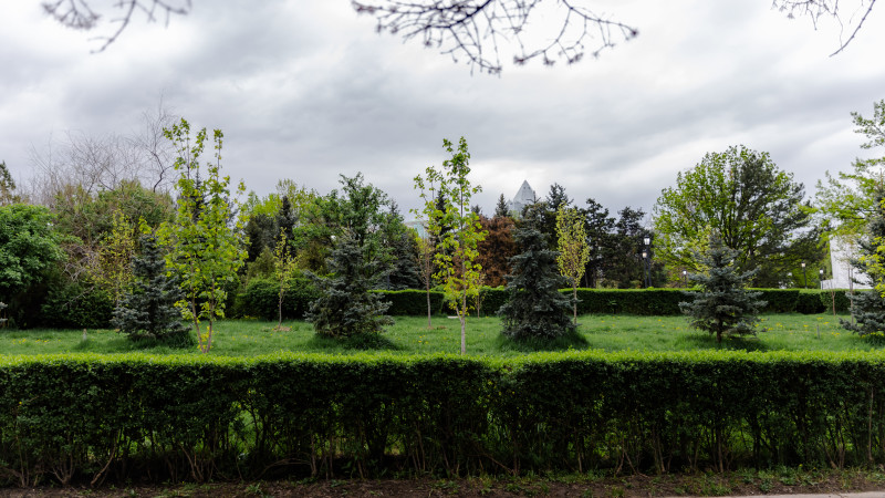 Фото ©️ Tengrinews.kz / Әлихан Сариев