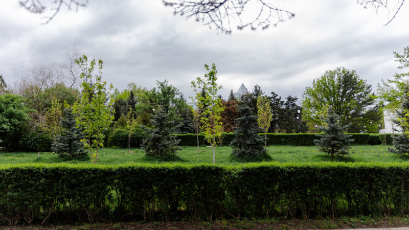 Фото ©️ Tengrinews.kz / Алихан Сариев