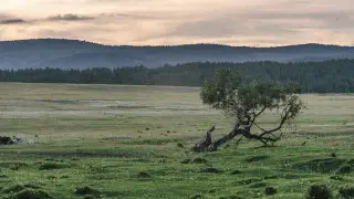 Найзағай, жел және бұршақ: ауа райы болжамы
