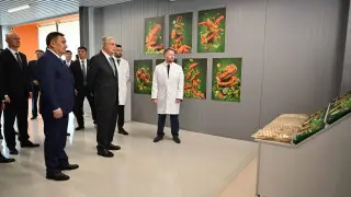Президент жартылай фабрикаттар өндірісімен танысты