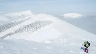 Тау шыңында төрт альпинист өлі табылды