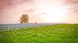 БҚО-да жер теліміне қатысты айла-шарғы қолданған шенеунік сотталды