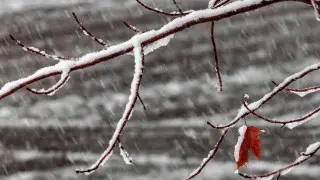 Қазақстанда алдағы күндері ауа райы қандай болады?