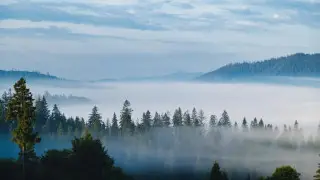 Қар және тұман: Қазақстанда бүгін ауа райы қандай болады?