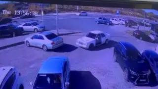 Шымкентте миллион теңгеге жуық шығын келтіргендер ұсталды