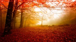 Қазақстанда алдағы күндері ауа райы қандай болады?