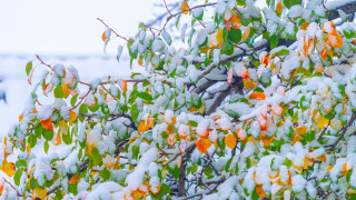 Фото:depositphotos.com