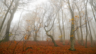 Фото:depositphotos.com