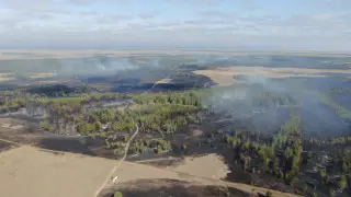 Орман шаруашылығының бұрынғы басшысы ірі өрт үшін 21 миллиард теңге төлеуге міндеттелді