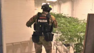 ІІМ: екі айда 900-ден аса есірткіге қатысты қылмыс ашылды