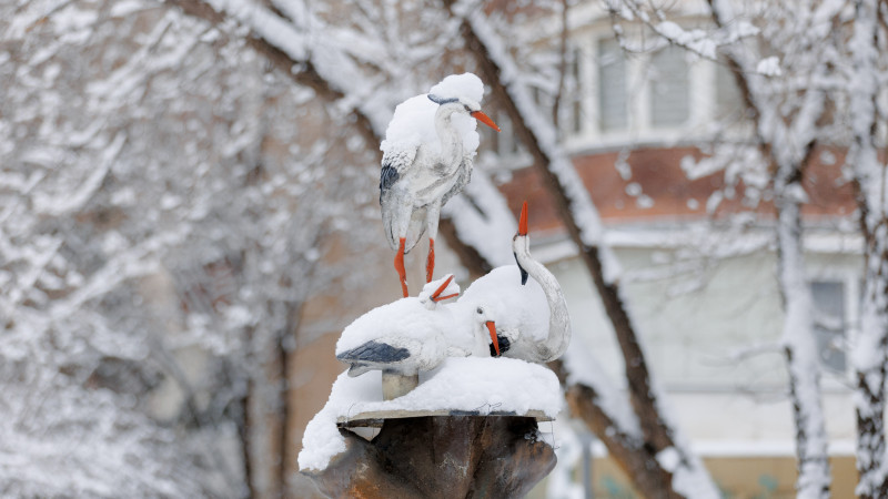 Фото ©️ Tengrinews.kz / Алихан Сариев