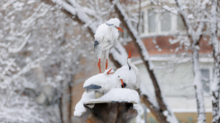 Фото ©️ Tengrinews.kz / Алихан Сариев