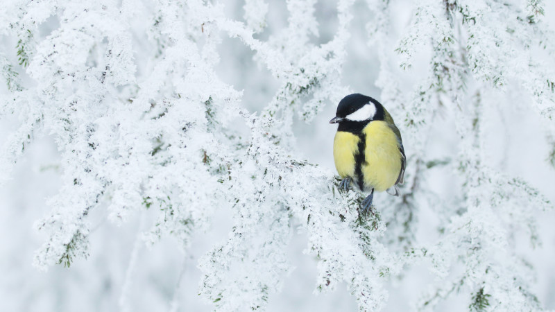 Фото:depositphotos.com