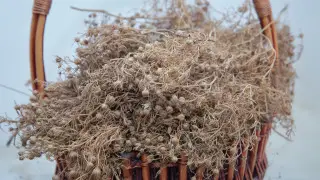 20 жылға бас бостандығынан айыру: адраспанды қайда апаруға болмайды?