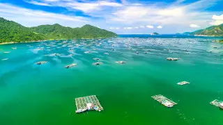 Жаңа әуе рейстері Қазақстанды Қытай, Вьетнам және Мысырмен байланыстырады