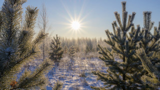 Фото:depositphotos.com