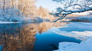 Фото:depositphotos.com