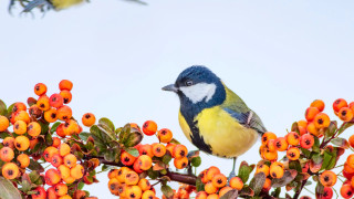Фото:depositphotos.com