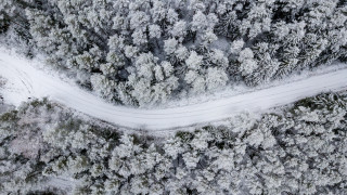 Фото:depositphotos.com