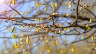 Қазақстанда алдағы күндері ауа райы қандай болады?