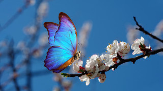 Фото:depositphotos.com