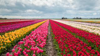 Фото:depositphotos.com