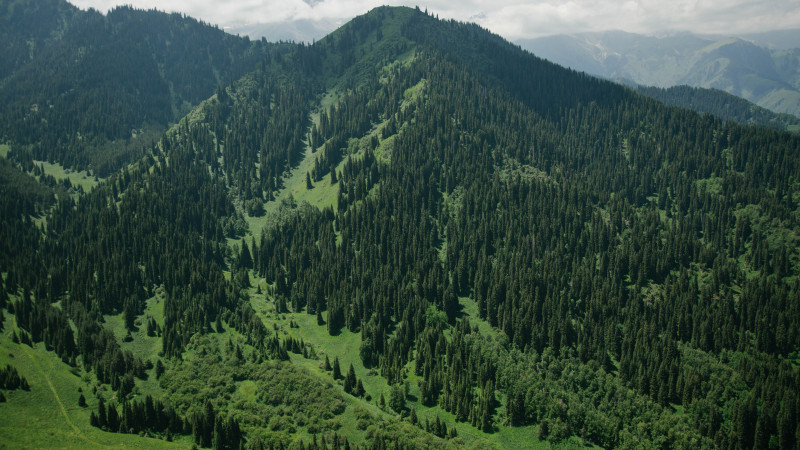 Көрнекі сурет ©️ Tengrinews.kz / Алихан Сариев