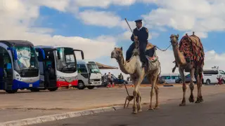 СІМ Мысырда қазақстандықтардың ұсталғаны туралы ақпаратқа жауап берді