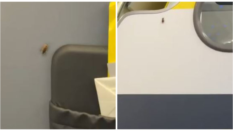 видео кадры