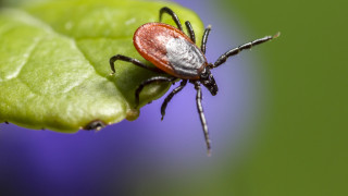 Фото:depositphotos.com