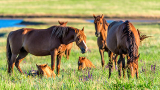 Фото:depositphotos.com