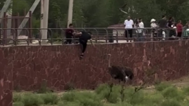 видео кадры